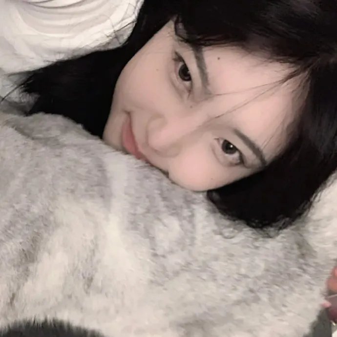 快乐的小鸡